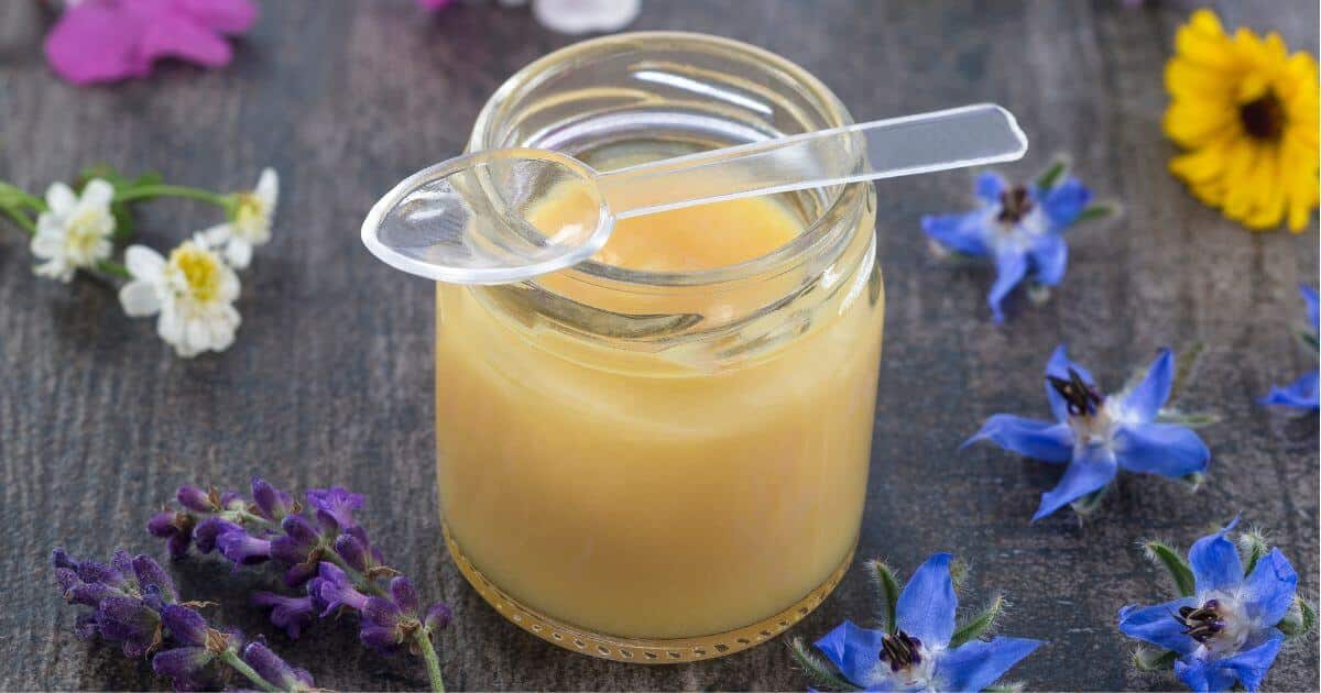 An open jar of fresh royal jelly with a clear plastic spoon sitting on the top of the jar