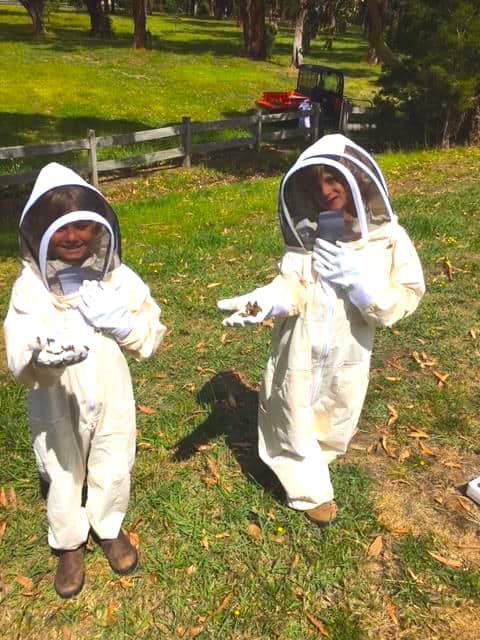 Children's Beekeeping Suit and Gloves