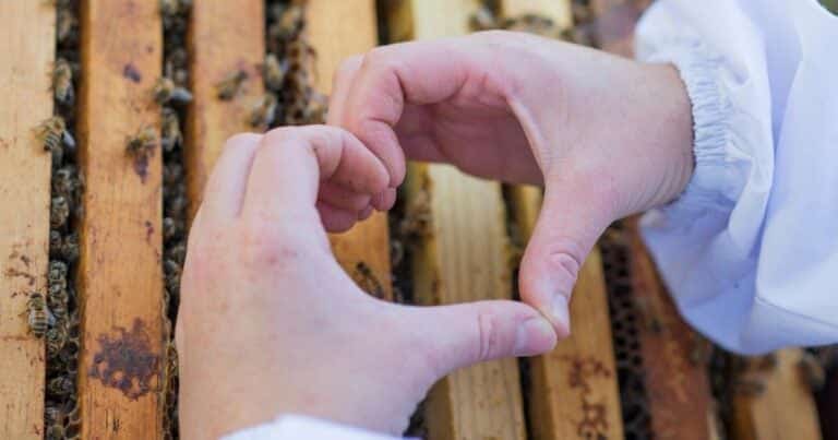 Local Honey Love: A Global Affair