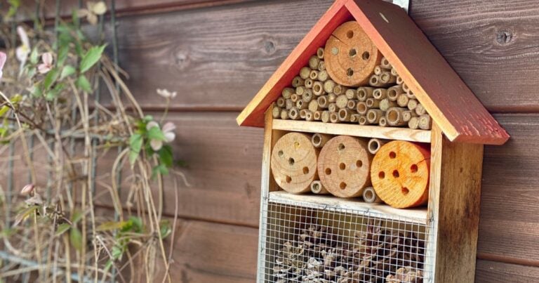 Vacancy At The Bee Hotel