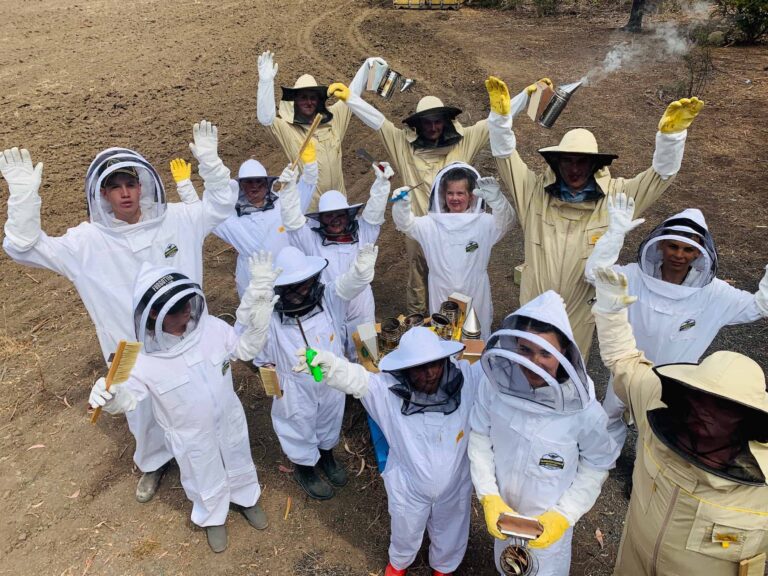The Vital Energy of Young Beekeepers