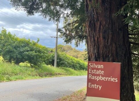 Silvan Estate Raspberries