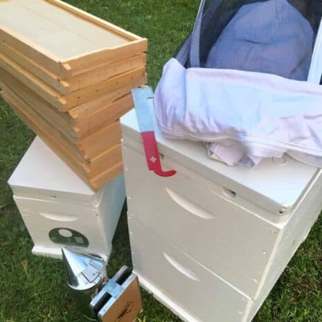 Langstroth Beekeeping Package - Deposit