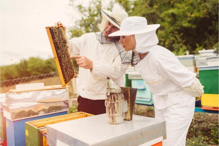 11 Ways To Be A Better Beekeeper